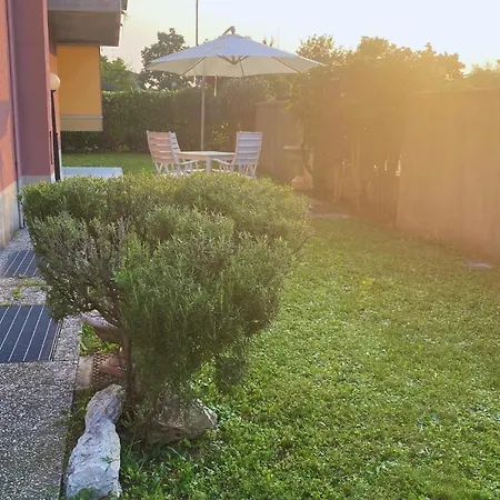 Girasoli In Franciacorta *